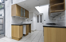Danes Moss kitchen extension leads
